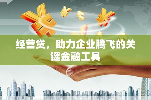 尼玛经营贷，助力企业腾飞的关键金融工具