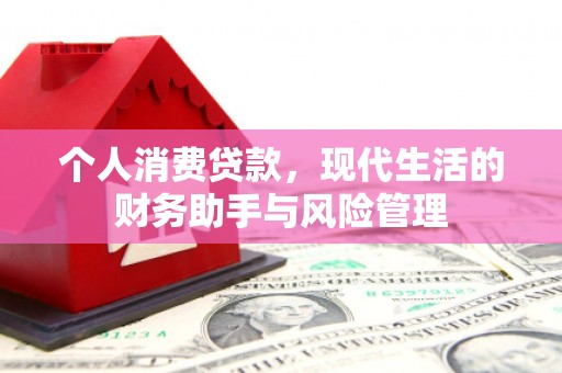 尼玛个人消费贷款，现代生活的财务助手与风险管理