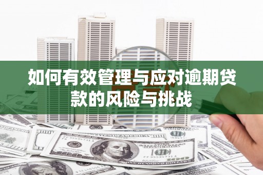 尼玛如何有效管理与应对逾期贷款的风险与挑战