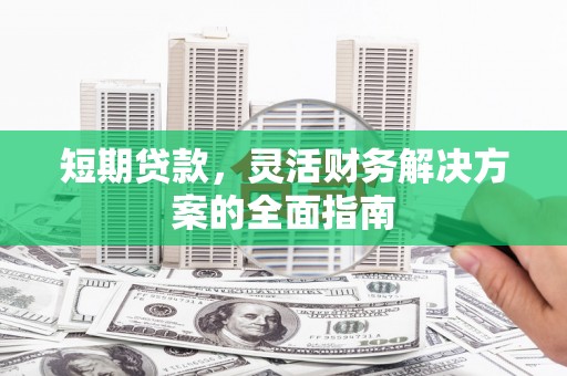 尼玛短期贷款，灵活财务解决方案的全面指南