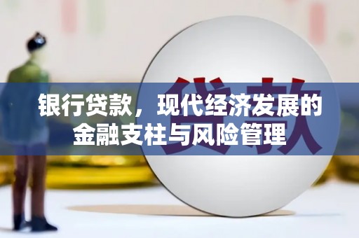 尼玛银行贷款，现代经济发展的金融支柱与风险管理