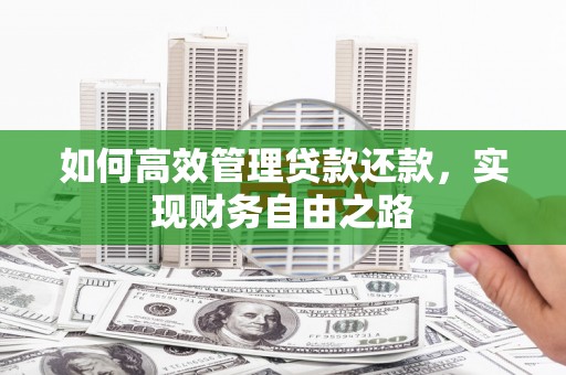 尼玛如何高效管理贷款还款，实现财务自由之路