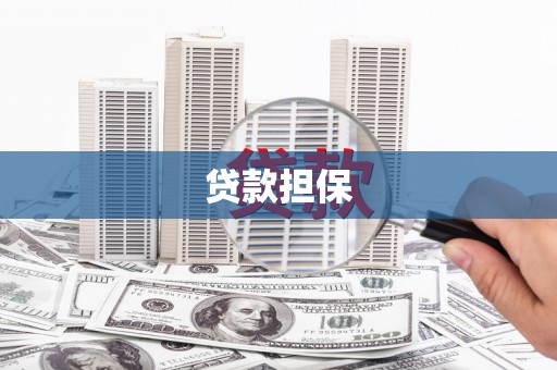 尼玛贷款担保
