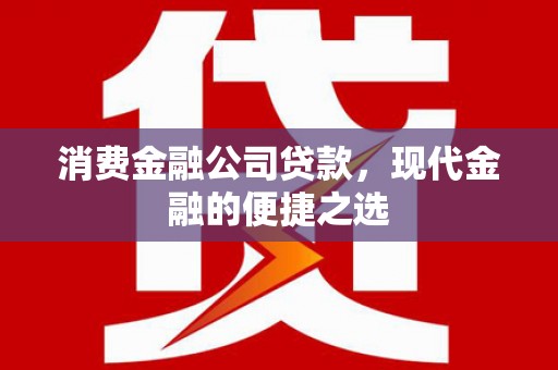 尼玛消费金融公司贷款，现代金融的便捷之选