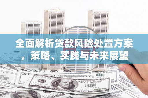 尼玛全面解析贷款风险处置方案，策略、实践与未来展望