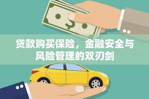 尼玛贷款购买保险，金融安全与风险管理的双刃剑