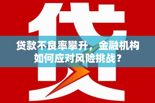 尼玛贷款不良率攀升，金融机构如何应对风险挑战？