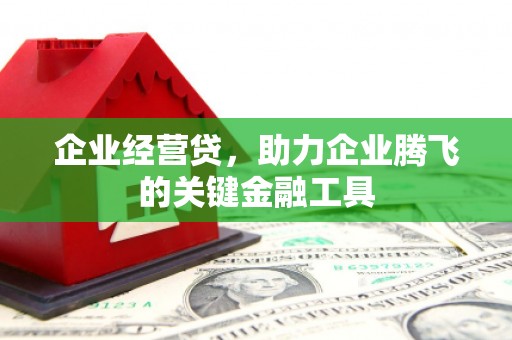 尼玛企业经营贷，助力企业腾飞的关键金融工具