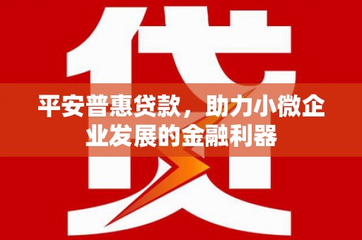 尼玛平安普惠贷款，助力小微企业发展的金融利器
