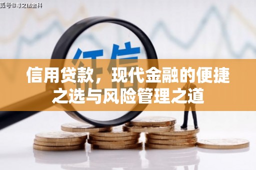 尼玛信用贷款，现代金融的便捷之选与风险管理之道