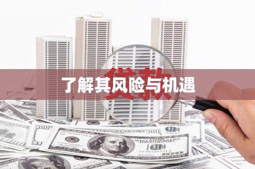 尼玛了解其风险与机遇