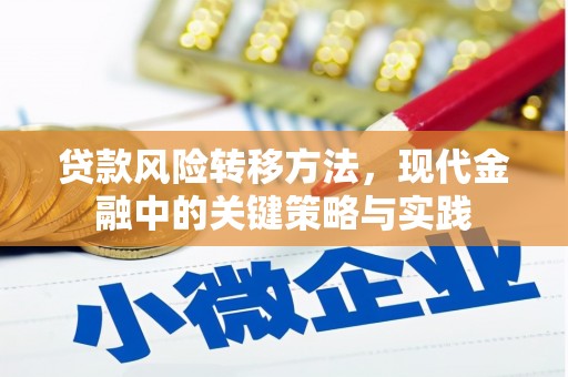 尼玛贷款风险转移方法，现代金融中的关键策略与实践