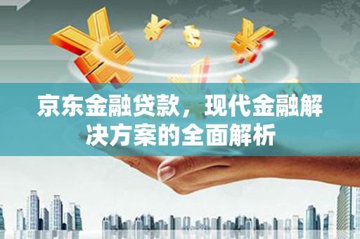 尼玛京东金融贷款，现代金融解决方案的全面解析