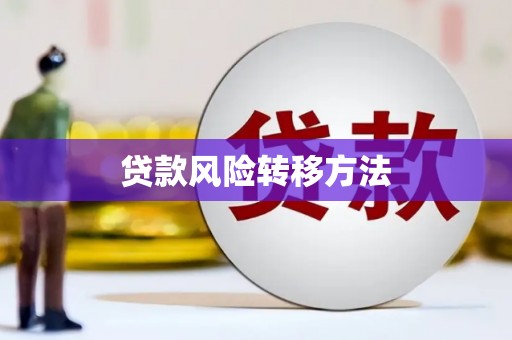 尼玛贷款风险转移方法