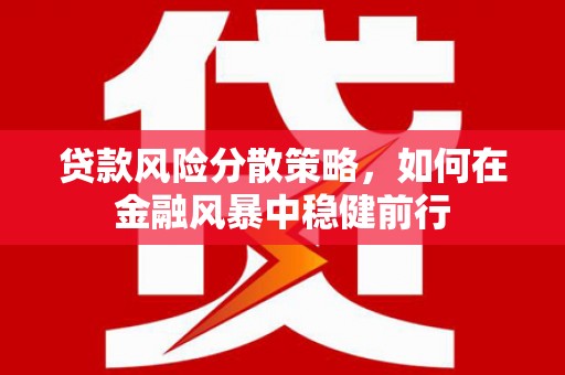 尼玛贷款风险分散策略，如何在金融风暴中稳健前行