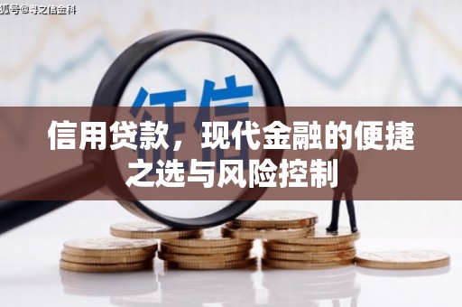 尼玛信用贷款，现代金融的便捷之选与风险控制