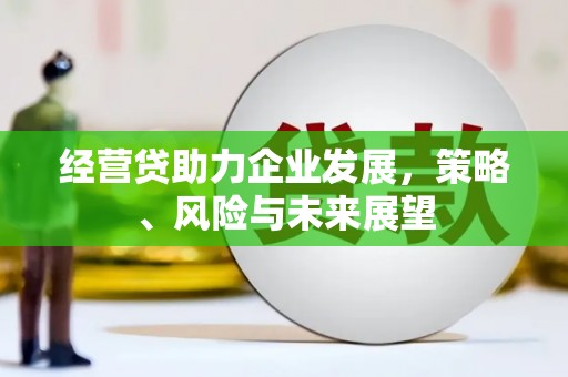 尼玛经营贷助力企业发展，策略、风险与未来展望