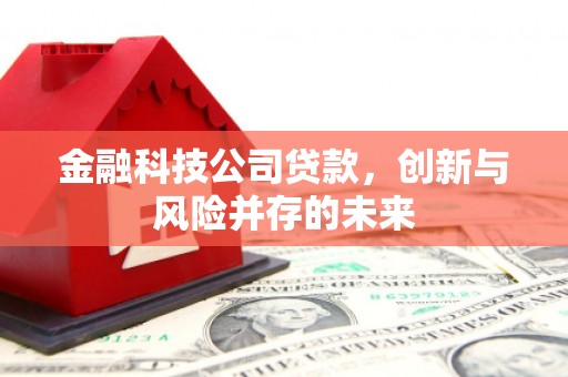 尼玛金融科技公司贷款，创新与风险并存的未来
