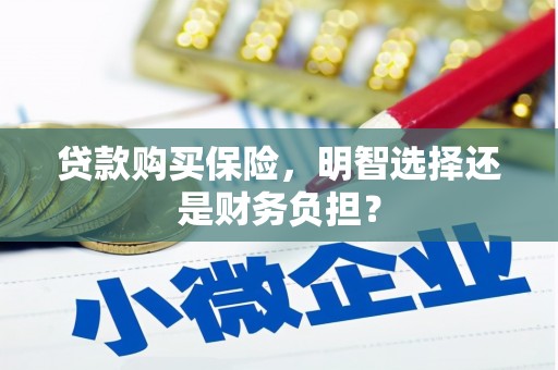 尼玛贷款购买保险，明智选择还是财务负担？