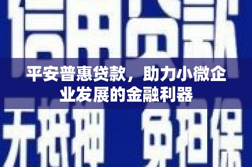 尼玛平安普惠贷款，助力小微企业发展的金融利器