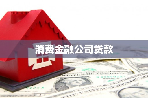 尼玛消费金融公司贷款