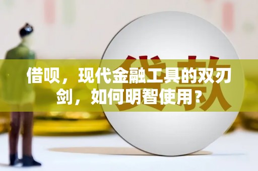 尼玛借呗，现代金融工具的双刃剑，如何明智使用？