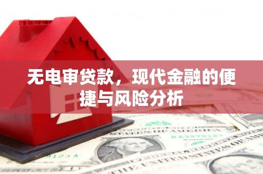 尼玛无电审贷款，现代金融的便捷与风险分析
