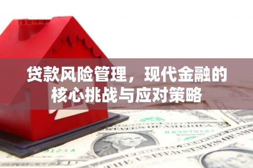 尼玛贷款风险管理，现代金融的核心挑战与应对策略