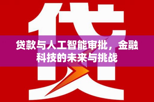 尼玛贷款与人工智能审批，金融科技的未来与挑战
