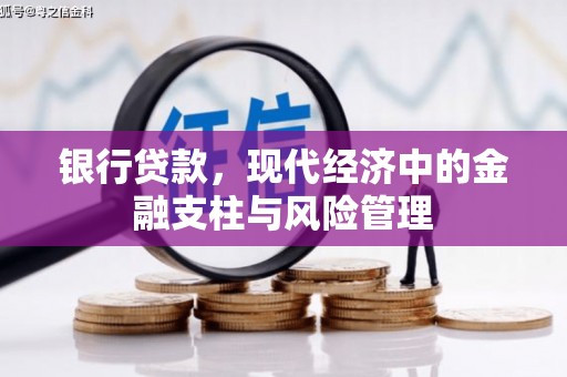尼玛银行贷款，现代经济中的金融支柱与风险管理