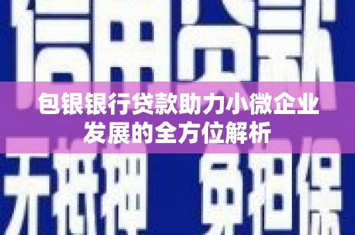 尼玛包银银行贷款助力小微企业发展的全方位解析