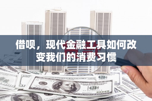 尼玛借呗，现代金融工具如何改变我们的消费习惯