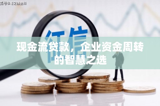 尼玛现金流贷款，企业资金周转的智慧之选