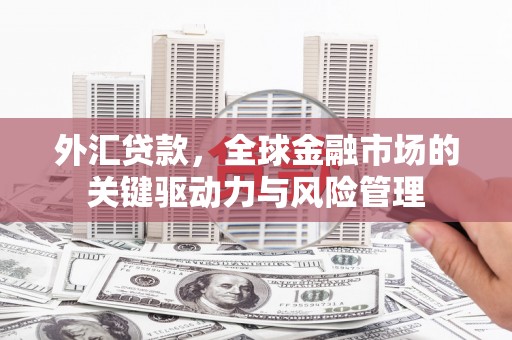 尼玛外汇贷款，全球金融市场的关键驱动力与风险管理