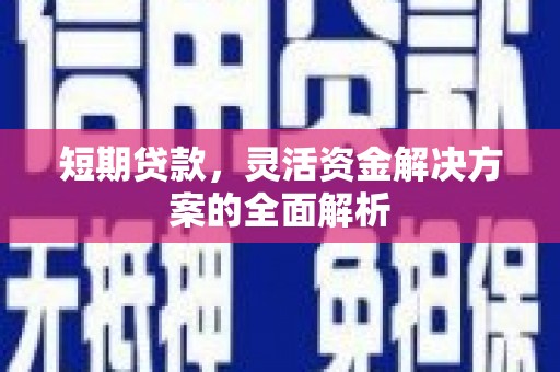 尼玛短期贷款，灵活资金解决方案的全面解析