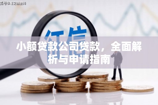 尼玛小额贷款公司贷款，全面解析与申请指南