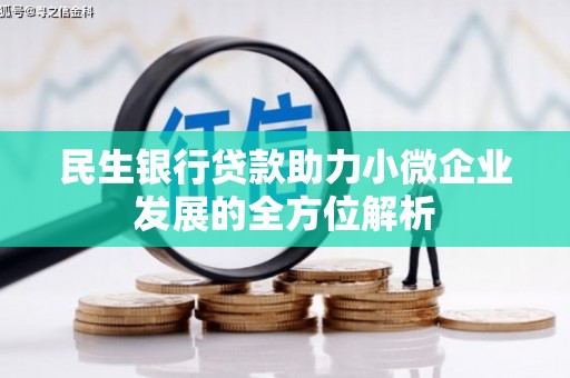 尼玛民生银行贷款助力小微企业发展的全方位解析