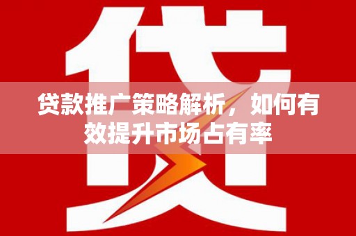 尼玛贷款推广策略解析，如何有效提升市场占有率