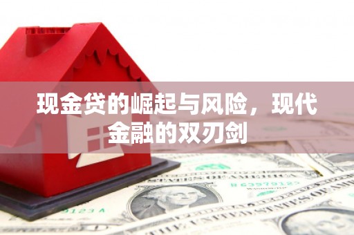 尼玛现金贷的崛起与风险，现代金融的双刃剑