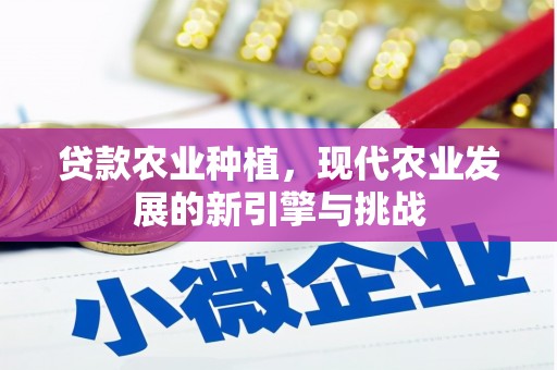 尼玛贷款农业种植，现代农业发展的新引擎与挑战