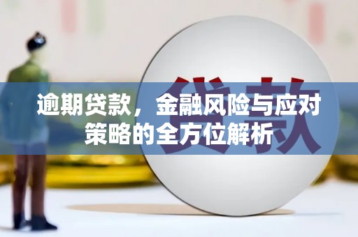 尼玛逾期贷款，金融风险与应对策略的全方位解析
