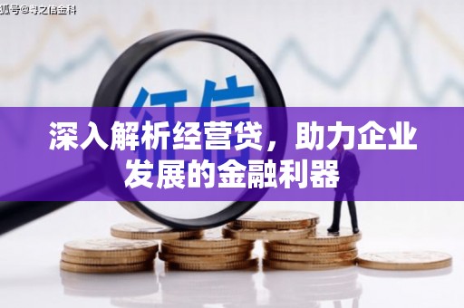 尼玛深入解析经营贷，助力企业发展的金融利器
