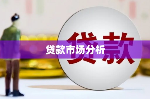 尼玛贷款市场分析