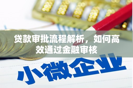 尼玛贷款审批流程解析，如何高效通过金融审核