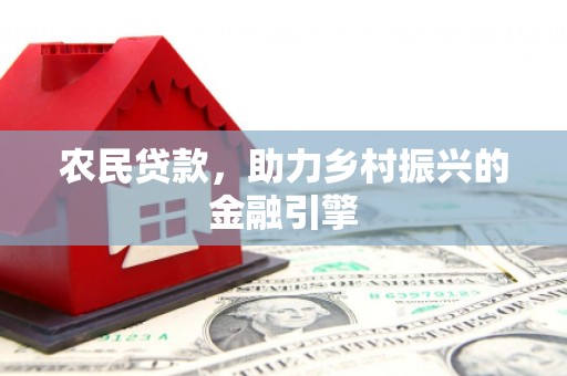 尼玛农民贷款，助力乡村振兴的金融引擎