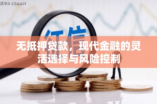 尼玛无抵押贷款，现代金融的灵活选择与风险控制
