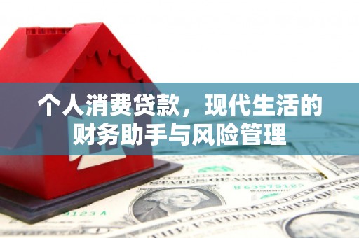 尼玛个人消费贷款，现代生活的财务助手与风险管理