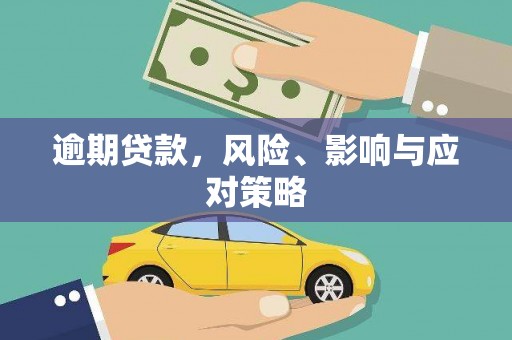 尼玛逾期贷款，风险、影响与应对策略