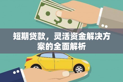 尼玛短期贷款，灵活资金解决方案的全面解析