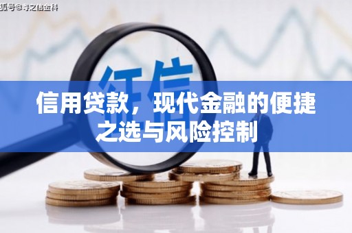 尼玛信用贷款，现代金融的便捷之选与风险控制